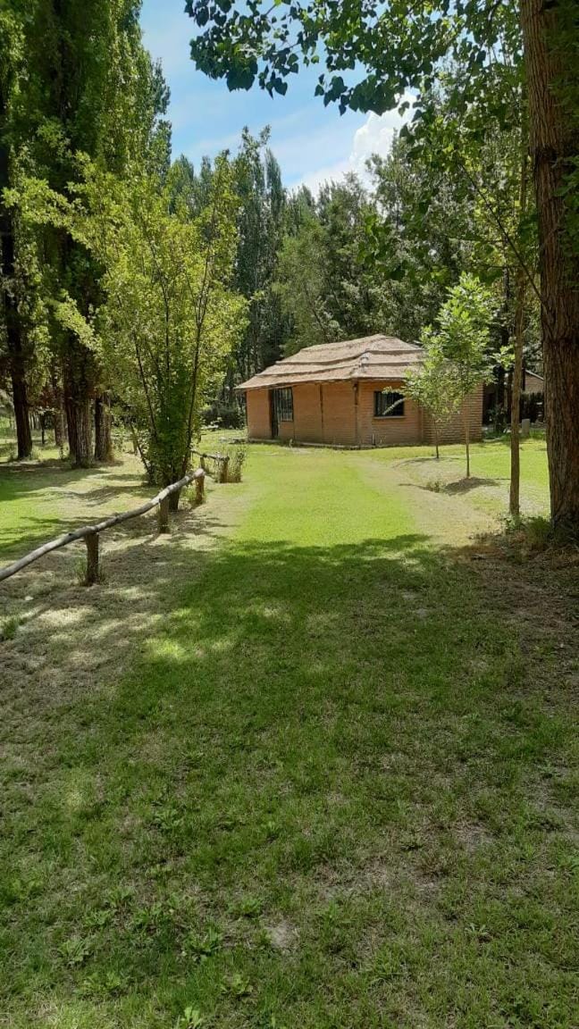 Property building, Day, Natural landscape, Garden