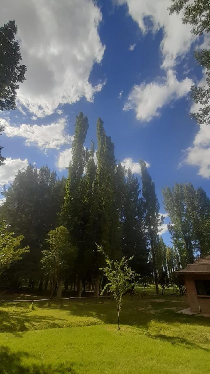 Day, Natural landscape, Garden, Garden view