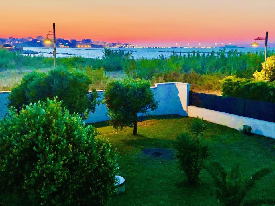 Day, Natural landscape, Garden, Garden view, Sunrise, Sunset