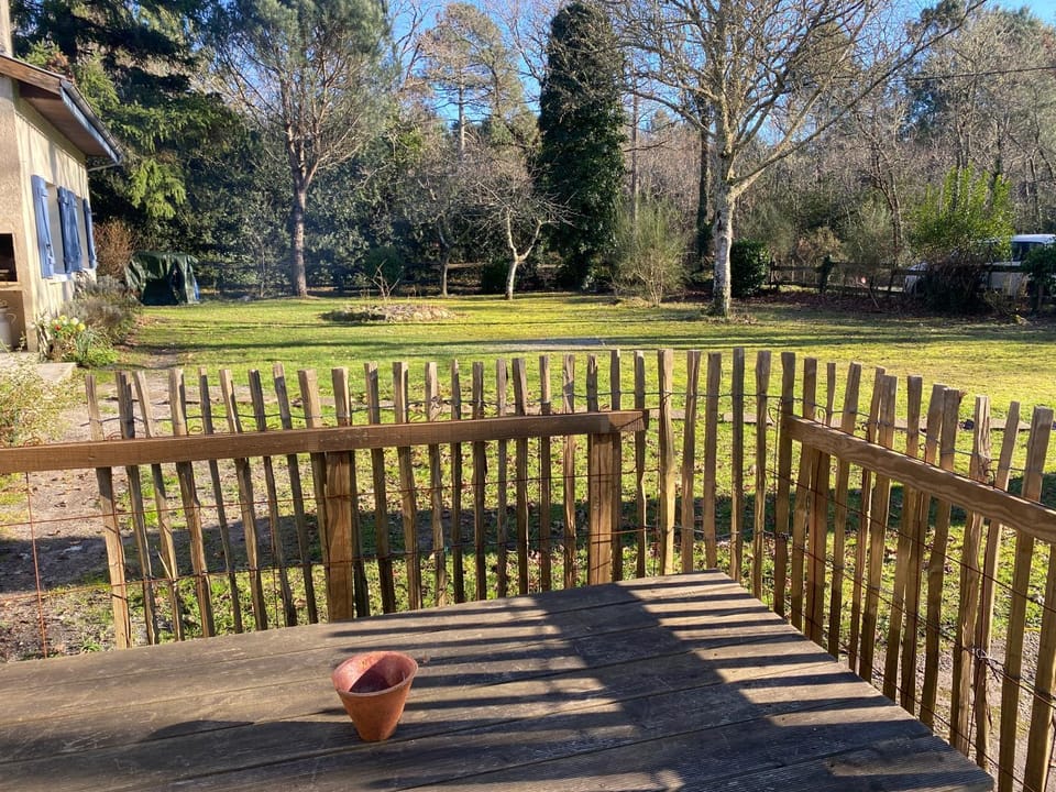 Garden view