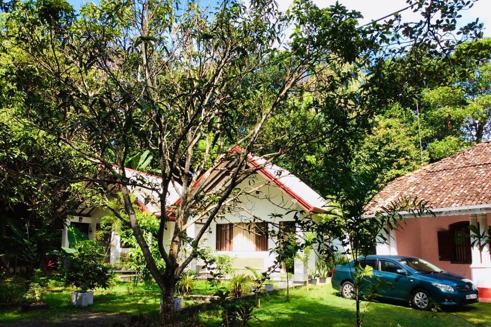 Property building, Natural landscape, Garden view, Parking