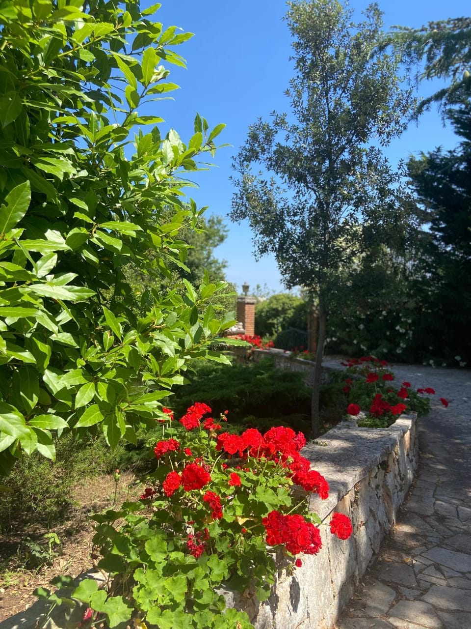 Villa Marzano Villa in Province of Taranto