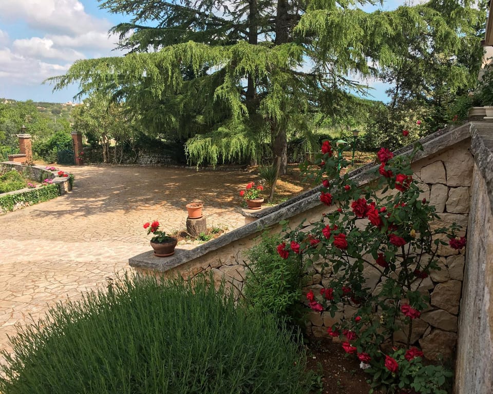 Spring, Garden, Garden view