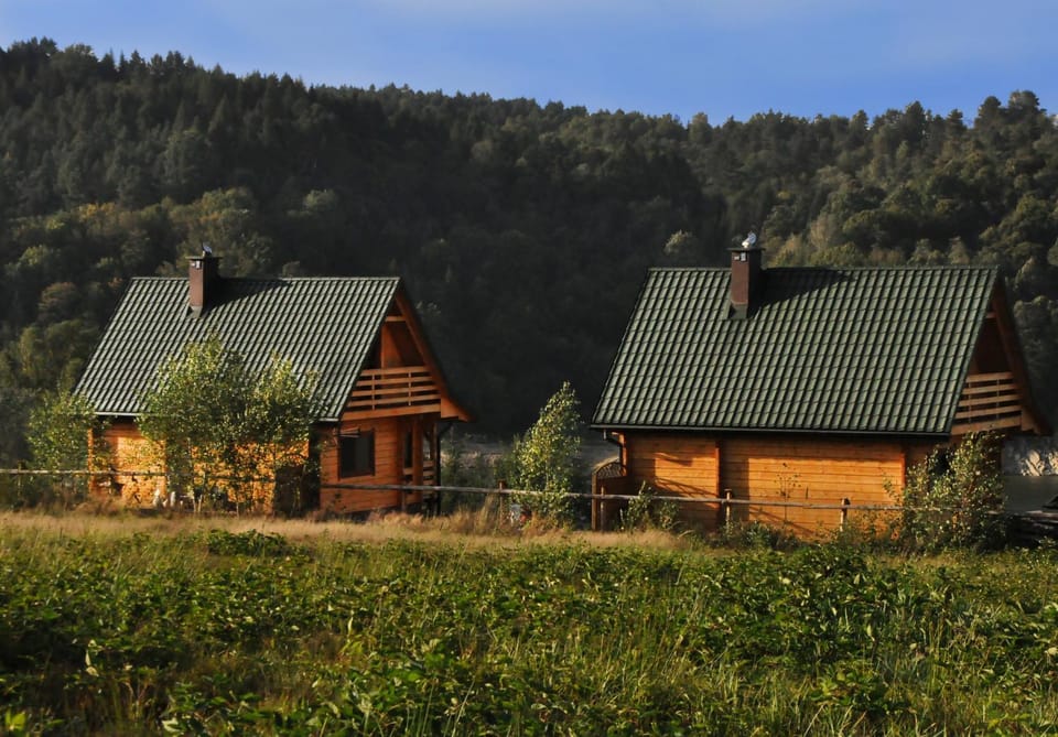 Domki nad Soliną Nature lodge in Poland