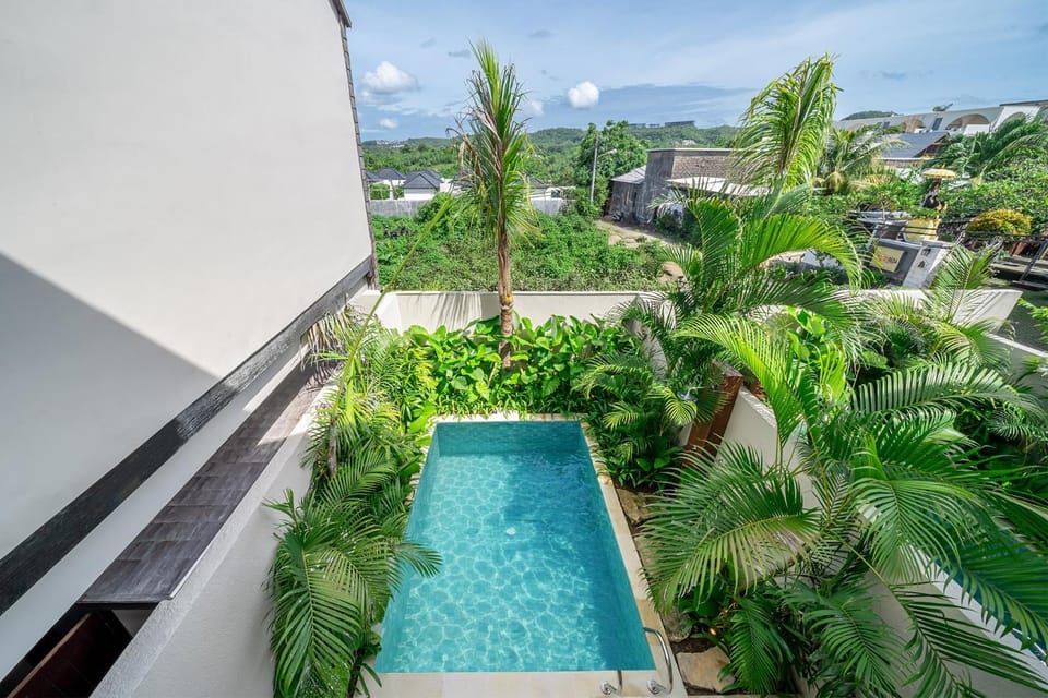 Garden, Garden, Swimming pool, Swimming pool