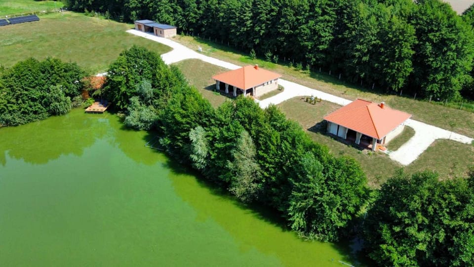 Property building, Neighbourhood, Natural landscape, Bird's eye view, Lake view