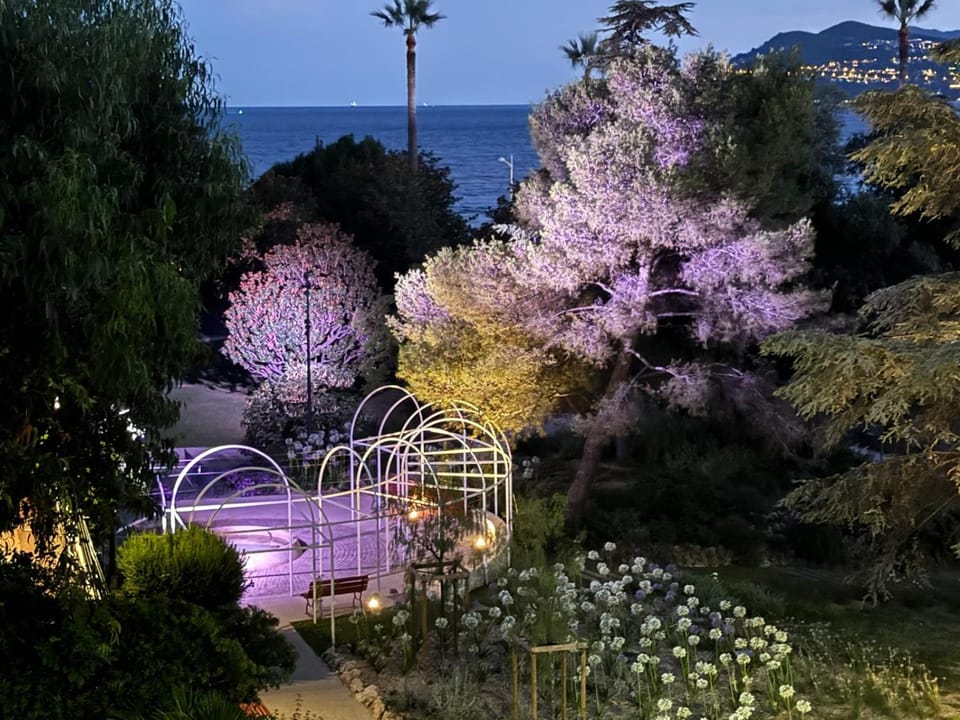 Garden view