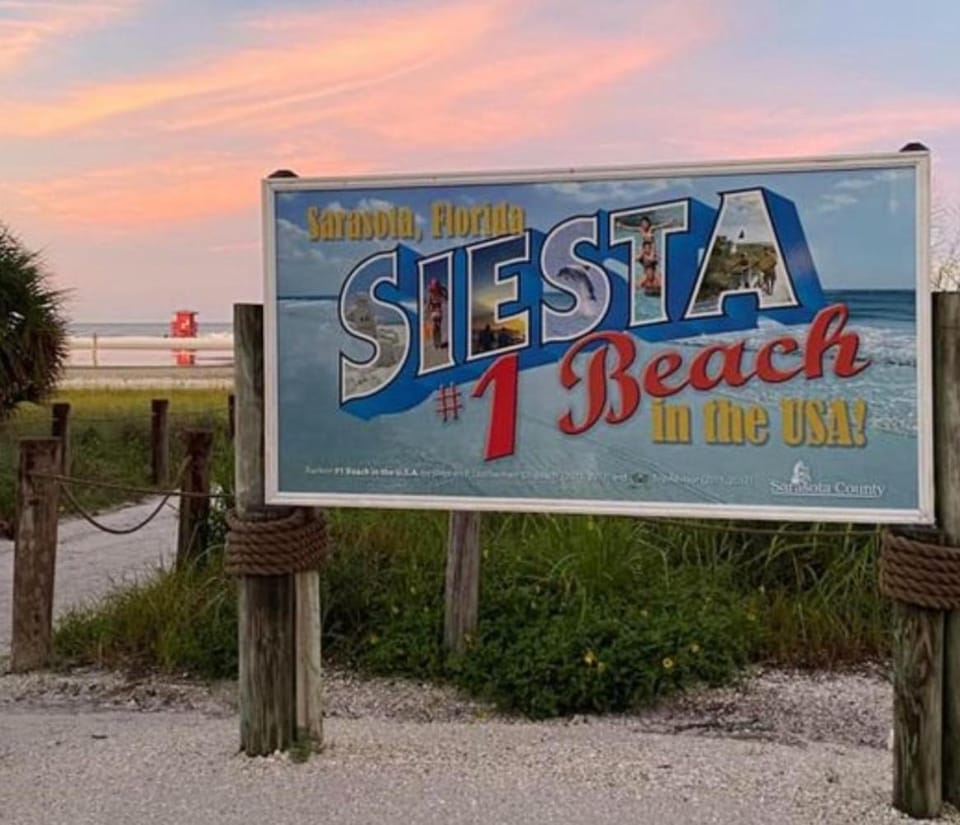 Catch of the Day at Harbor Towers on Siesta Key Apartment in Siesta Beach