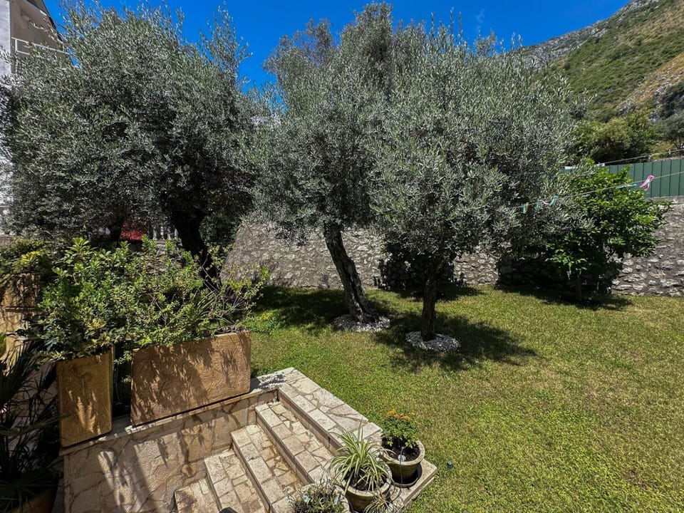 Day, Garden, Garden