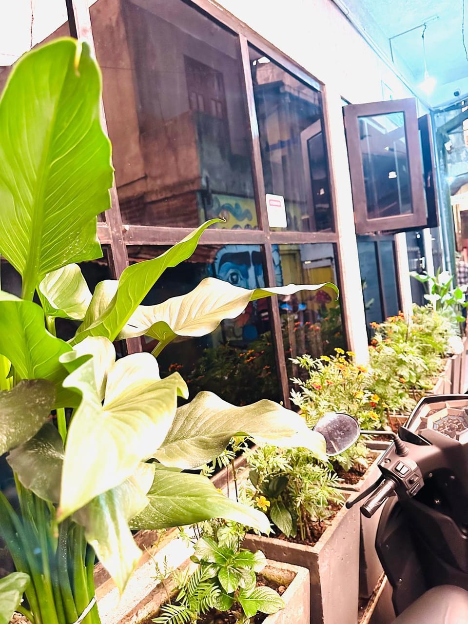 Property building, Patio