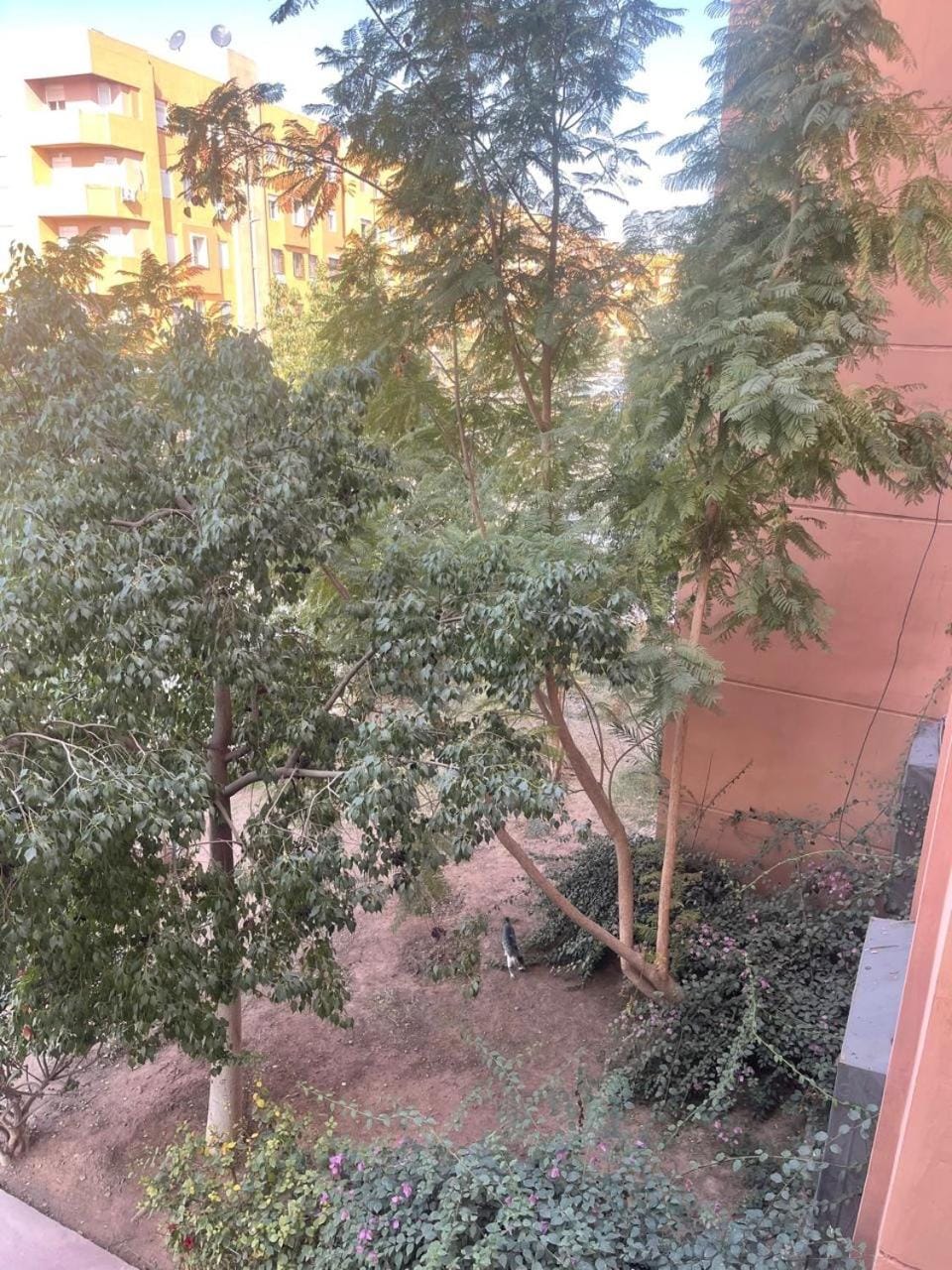 Furnished apartment close to the city center Apartment in Marrakesh