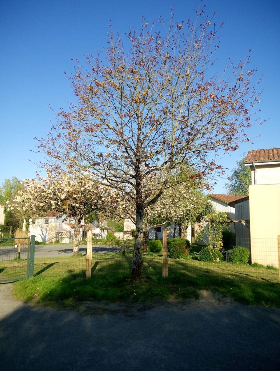 Les Clés Nature Apartment in Nouvelle-Aquitaine