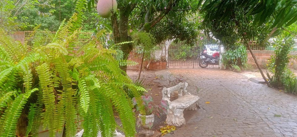 Garden, Garden view