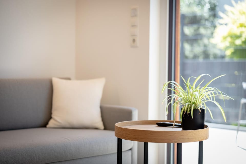 Living room, Photo of the whole room, soundproof