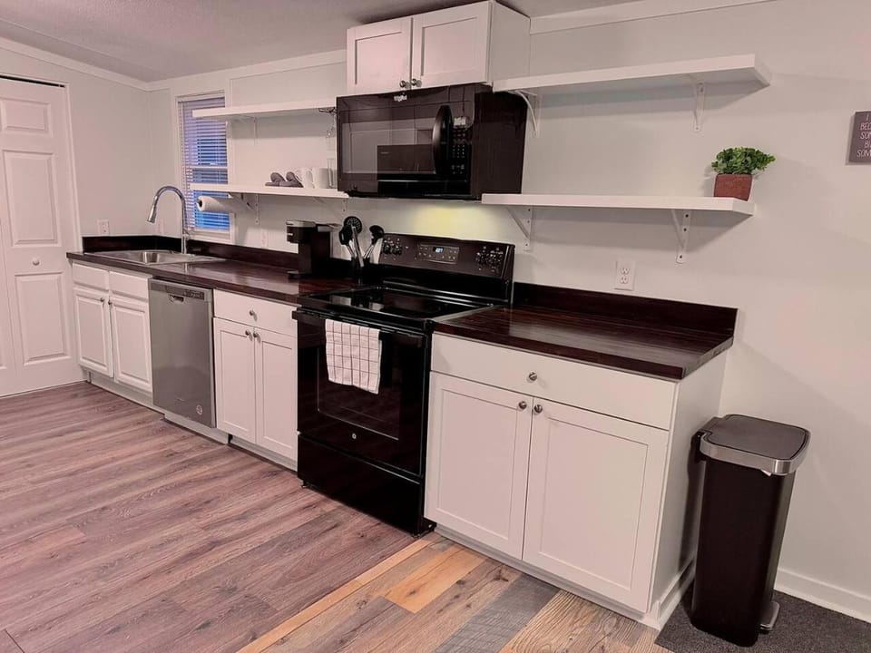 Kitchen or kitchenette, dishwasher, oven, stove