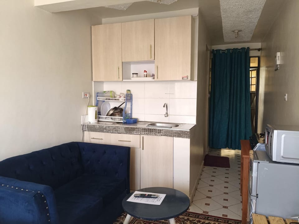 Kitchen or kitchenette, kitchen, kitchen