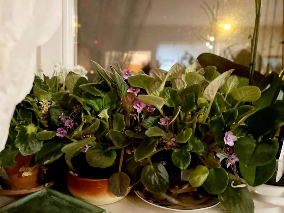 Mara apartment, Belgrade, New belgrade Apartment in Belgrade