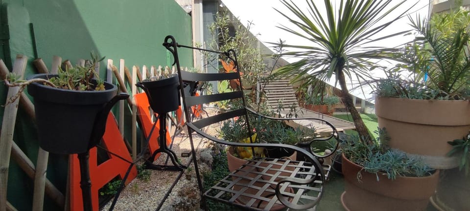 Day, Garden, Garden view
