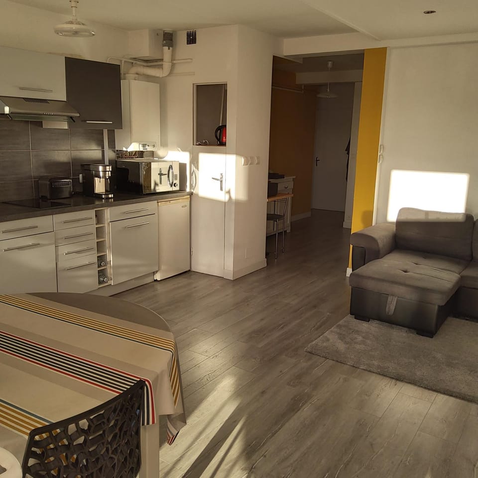Appartement T2 Apartment in Albi