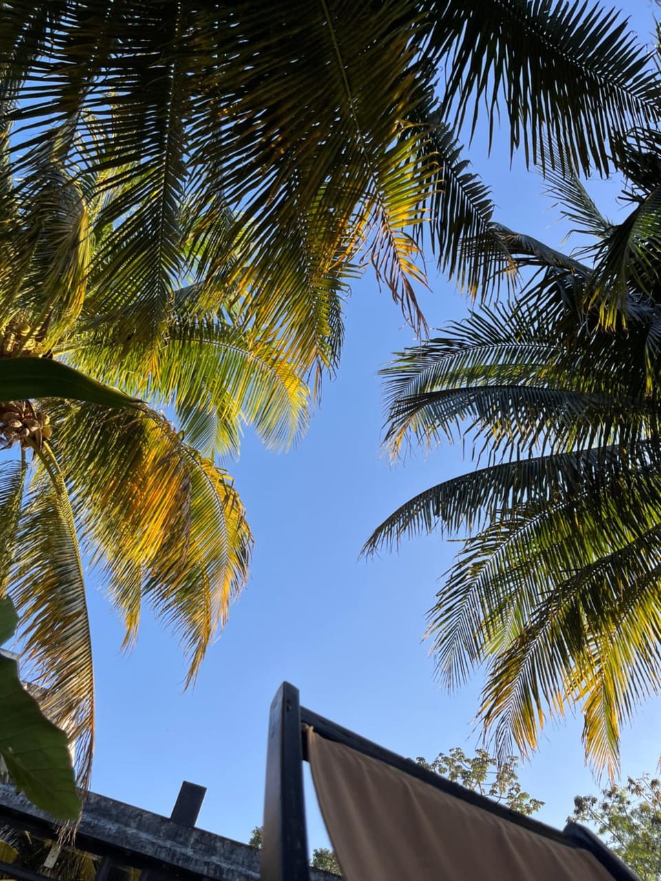 Lumina Apartment in State of Quintana Roo