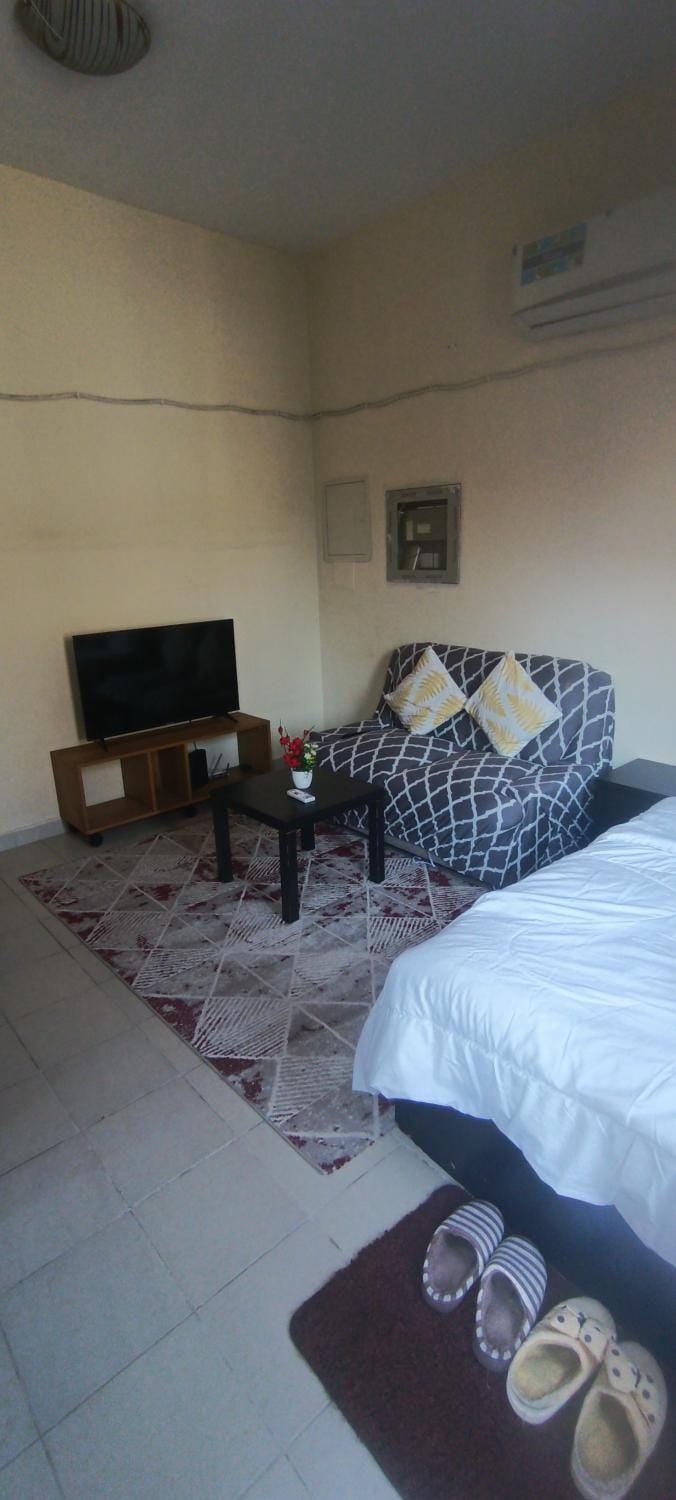 Daily basis furnished studio flat Apartment in Dubai