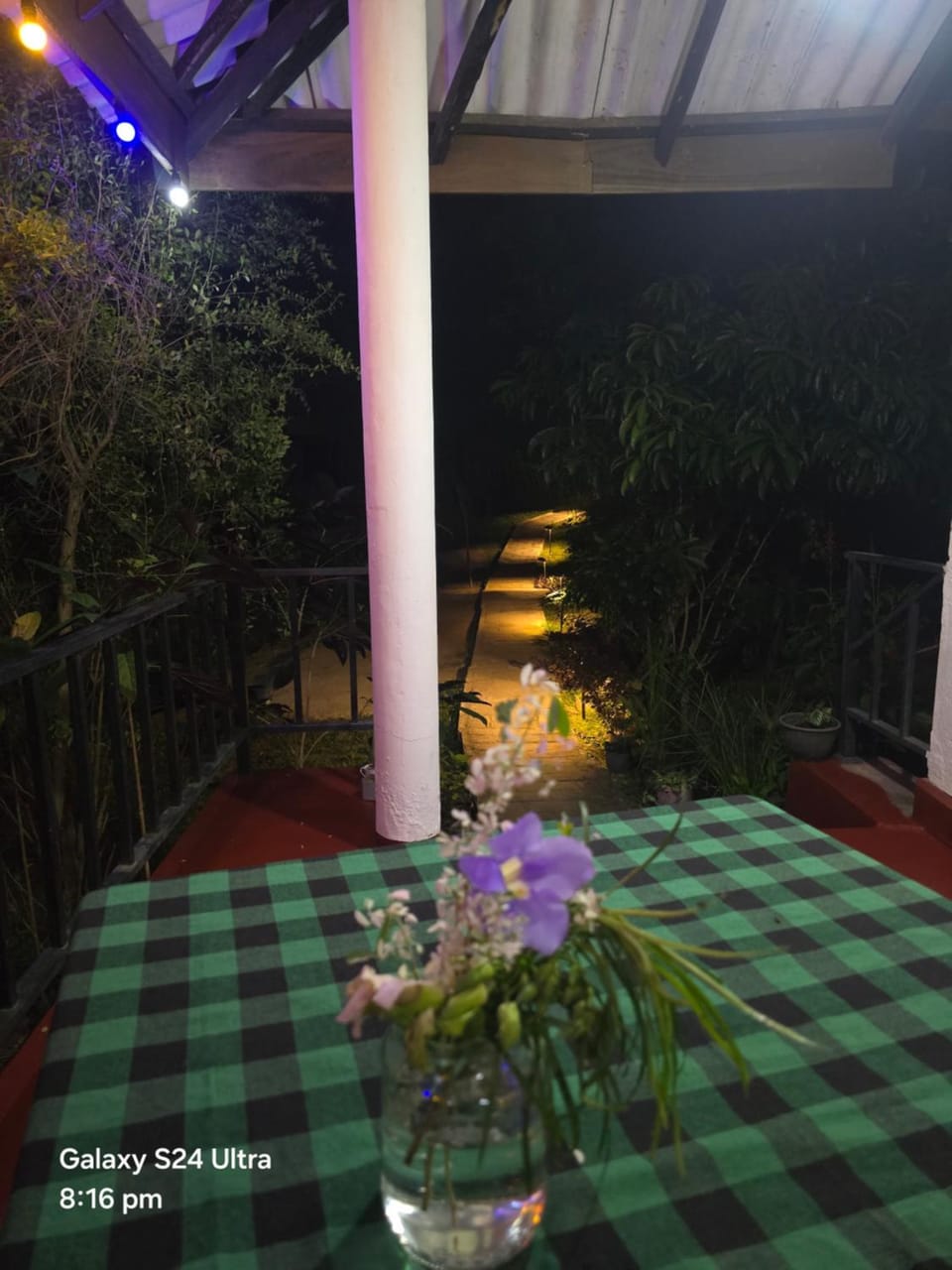 Restaurant/places to eat, Night, Garden