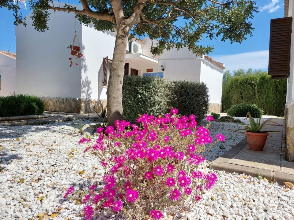Con buen sabor Via verde, Antigua Estación Via verde de la sierra Apartment in Sierra de Cádiz