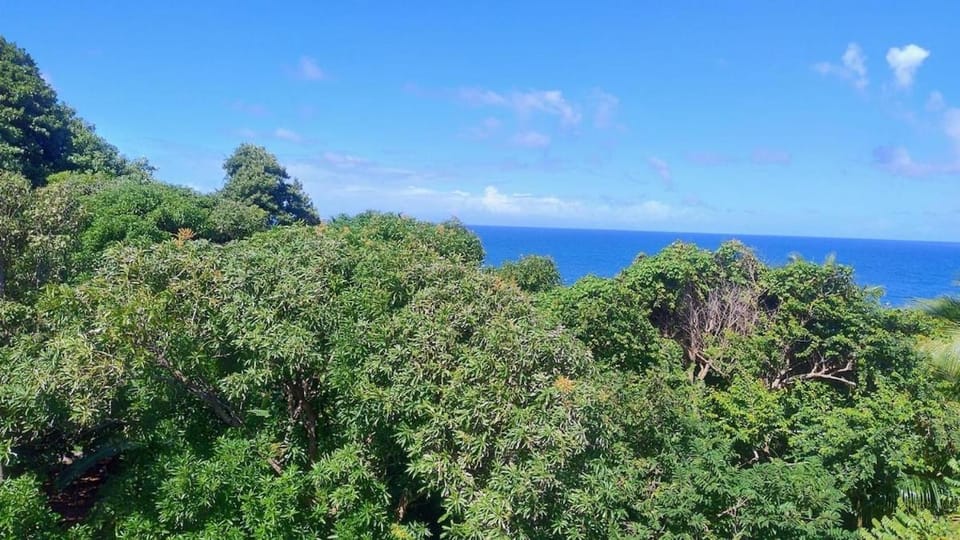 Day, Natural landscape, Sea view