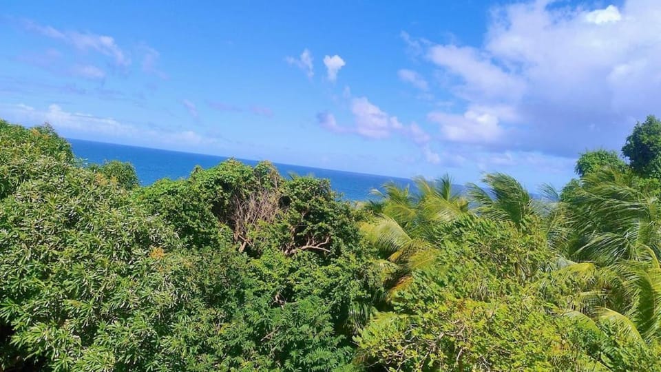 Day, Natural landscape, Sea view