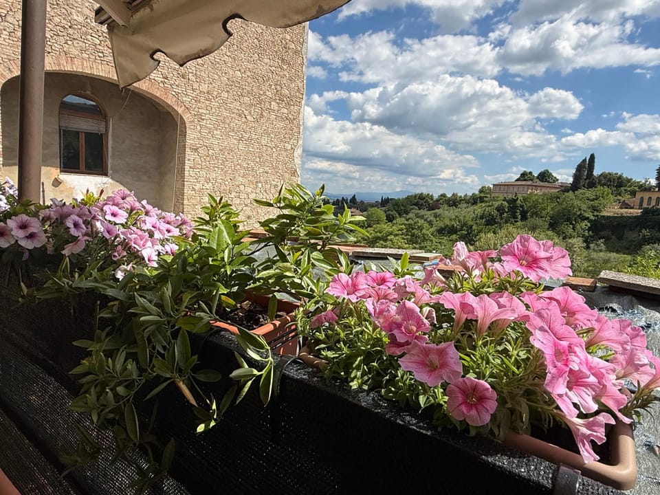 Nido nei Pispini Apartment in Siena