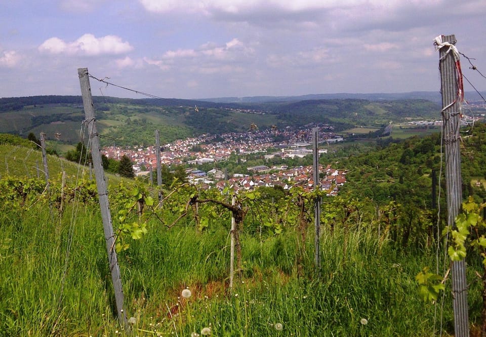 Natural landscape
