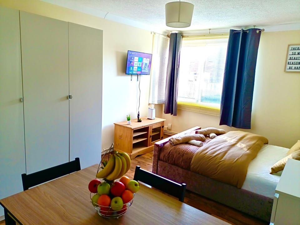 Communal lounge/ TV room, Bed, TV and multimedia, Living room, Photo of the whole room, Seating area, Evening entertainment, Bedroom