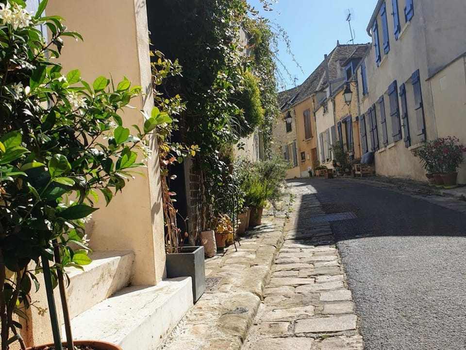 Maison médiévale calme avec Wifi et animaux acceptés - FR-1-527-83 House in Île-de-France