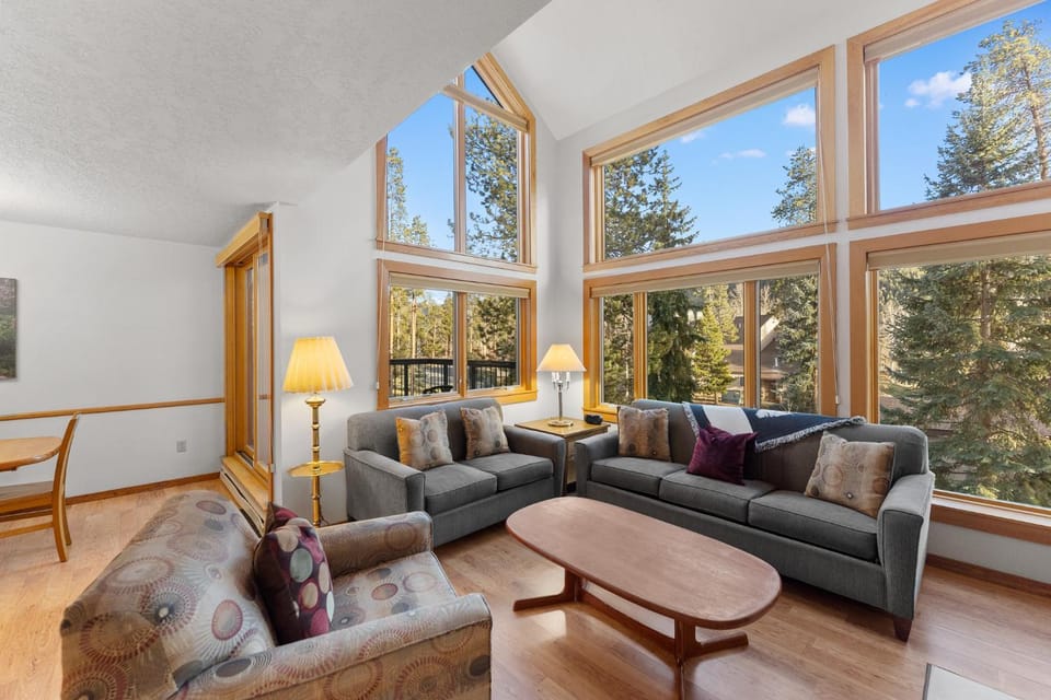 Quicksilver #1631 Apartment in Keystone