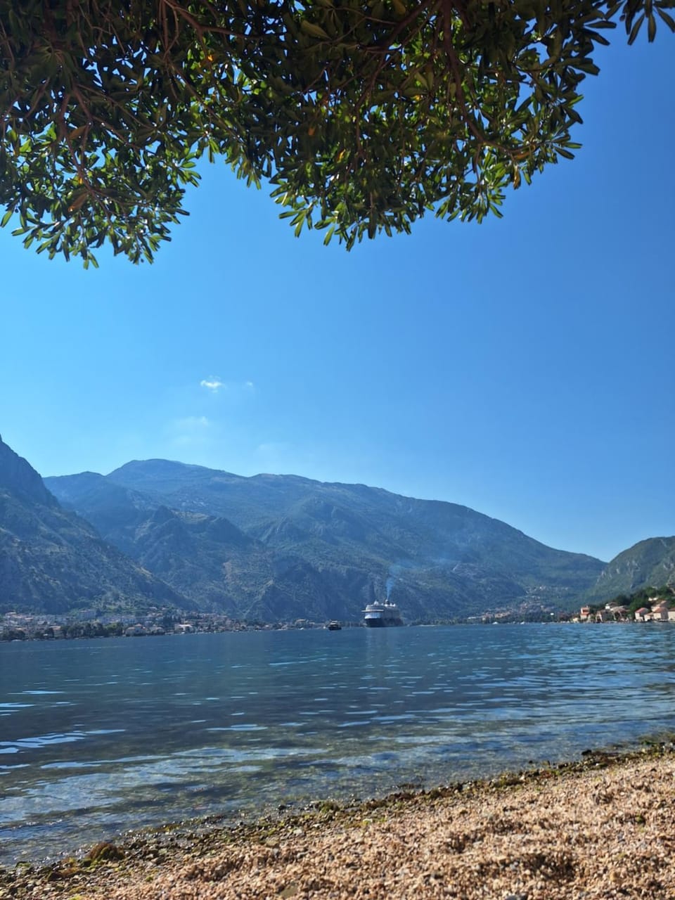 Apartman Matea Apartment in Kotor Municipality