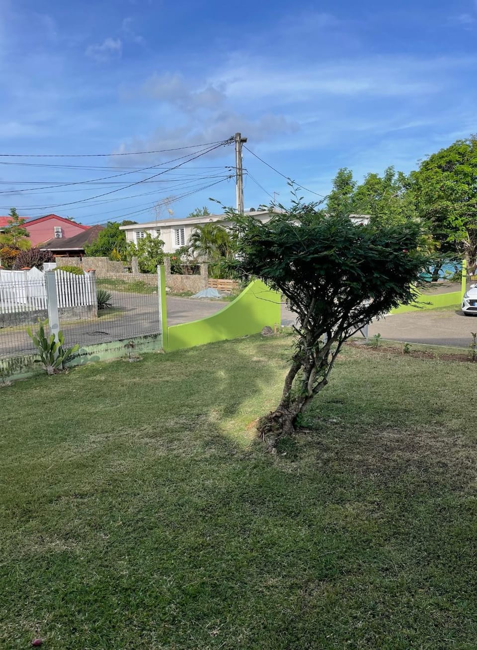 Garden view
