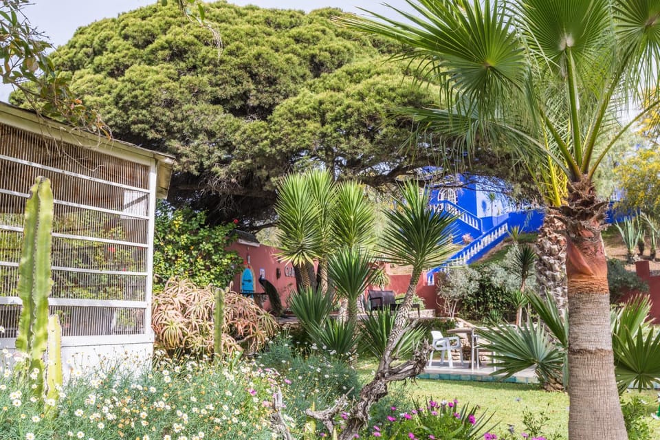 Garden, Garden view