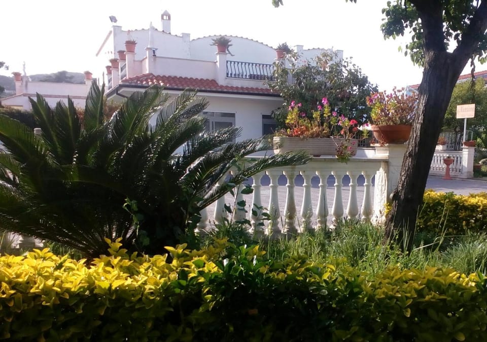 Property building, Spring