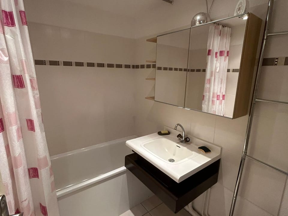 Appartement rénové au cœur de Super Besse avec balcon et parking privé - FR-1-814-81 Apartment in Besse-et-Saint-Anastaise