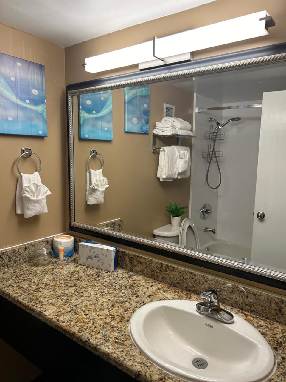 Shower, Bathroom