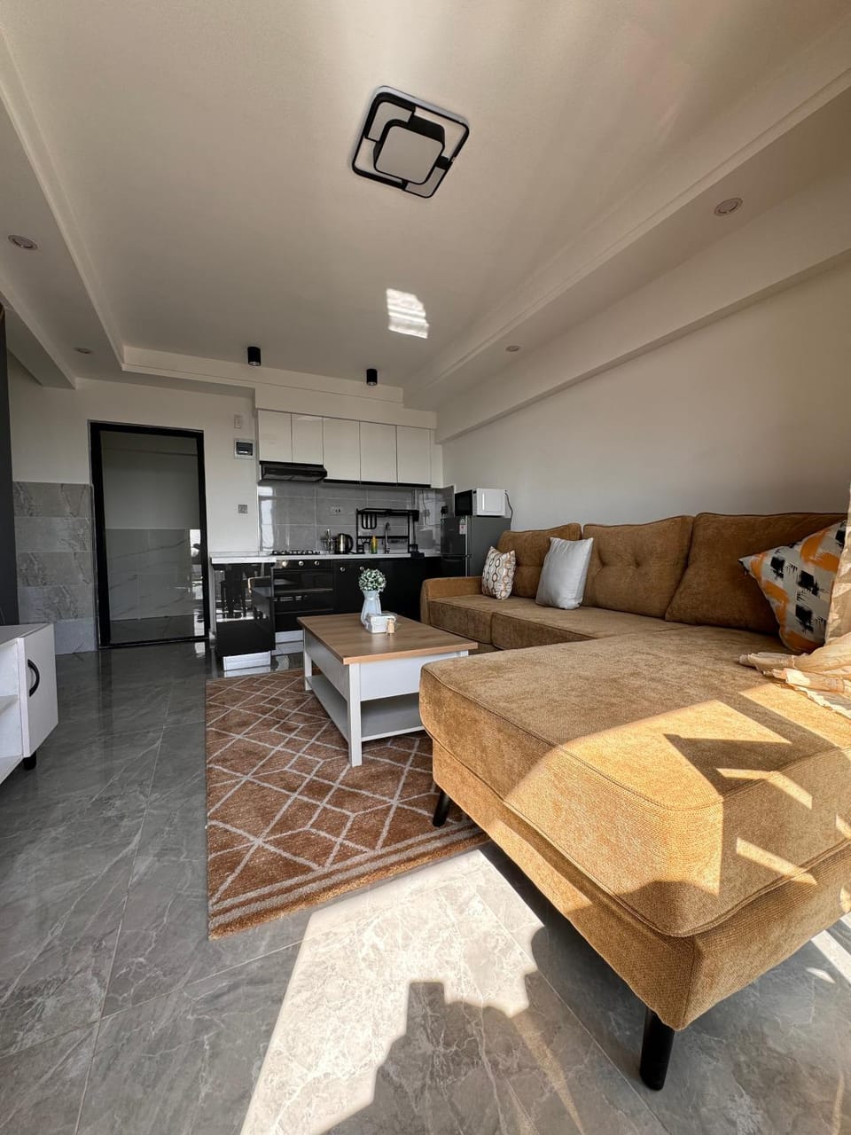 Kitchen or kitchenette, Living room, Communal kitchen, kitchen, kitchen