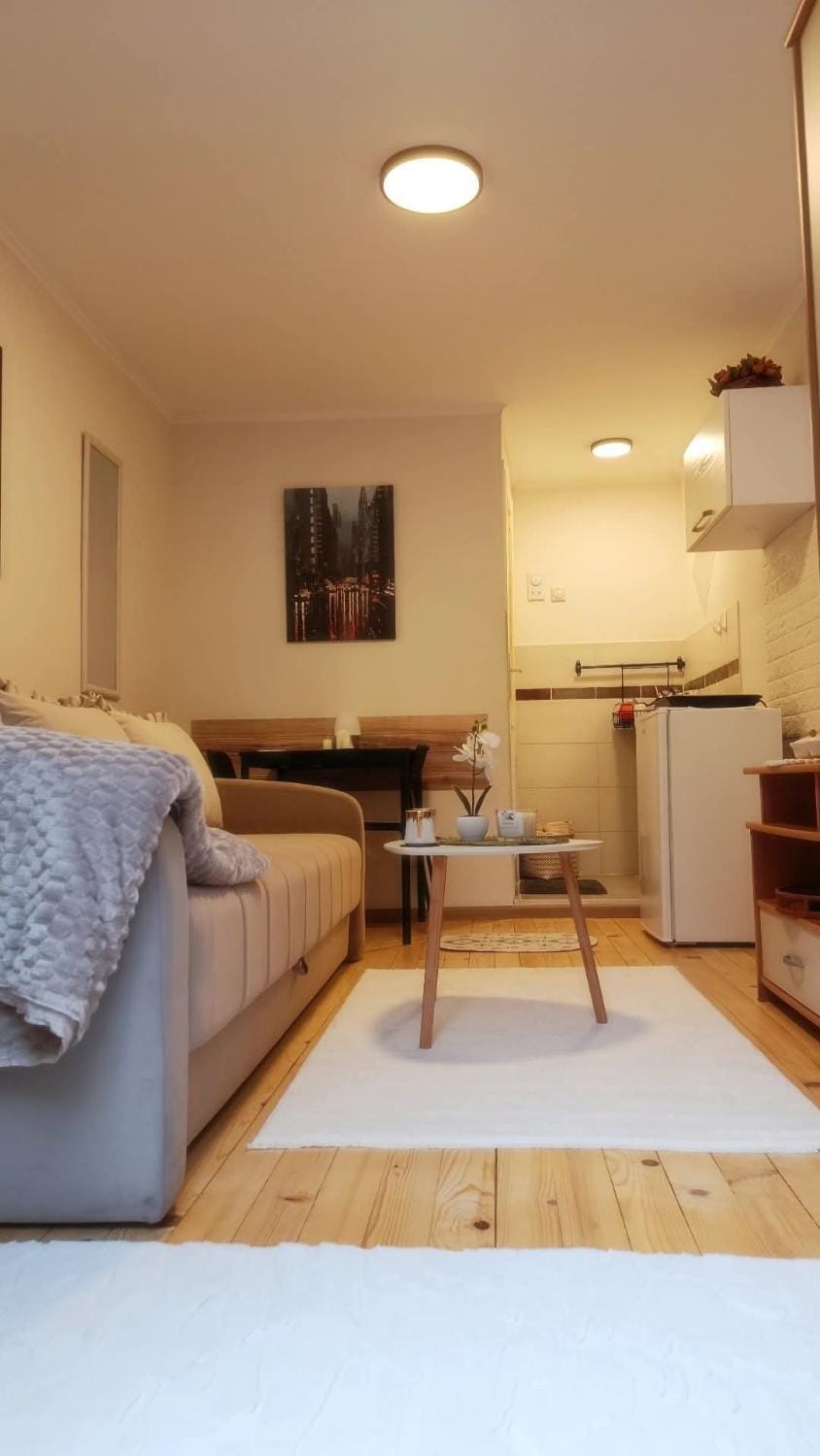 Studio Sanja Apartment in Serbia