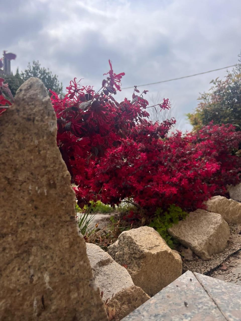 Garden, Garden view