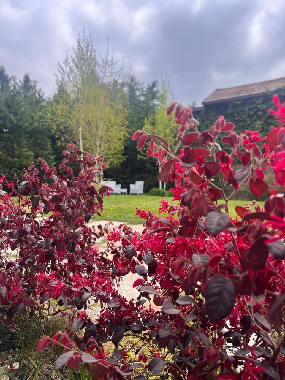 Garden, Garden view