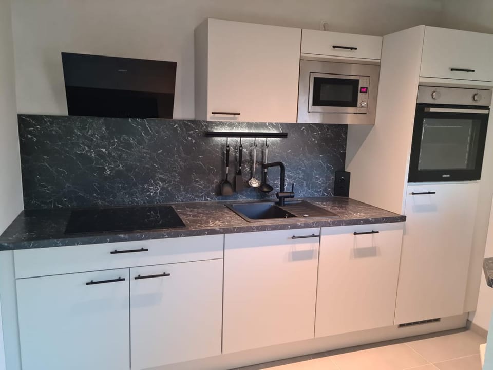 Kitchen or kitchenette, dishwasher, oven, stove