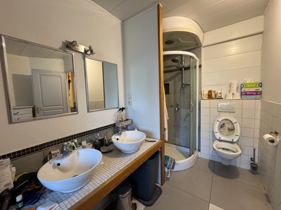 Bathroom, Living room