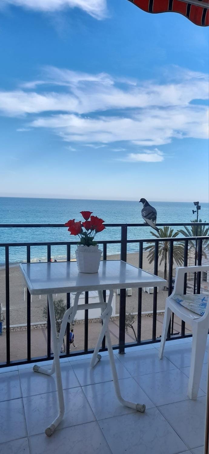 Fuengirola center beachfront Yate Apartment in Fuengirola