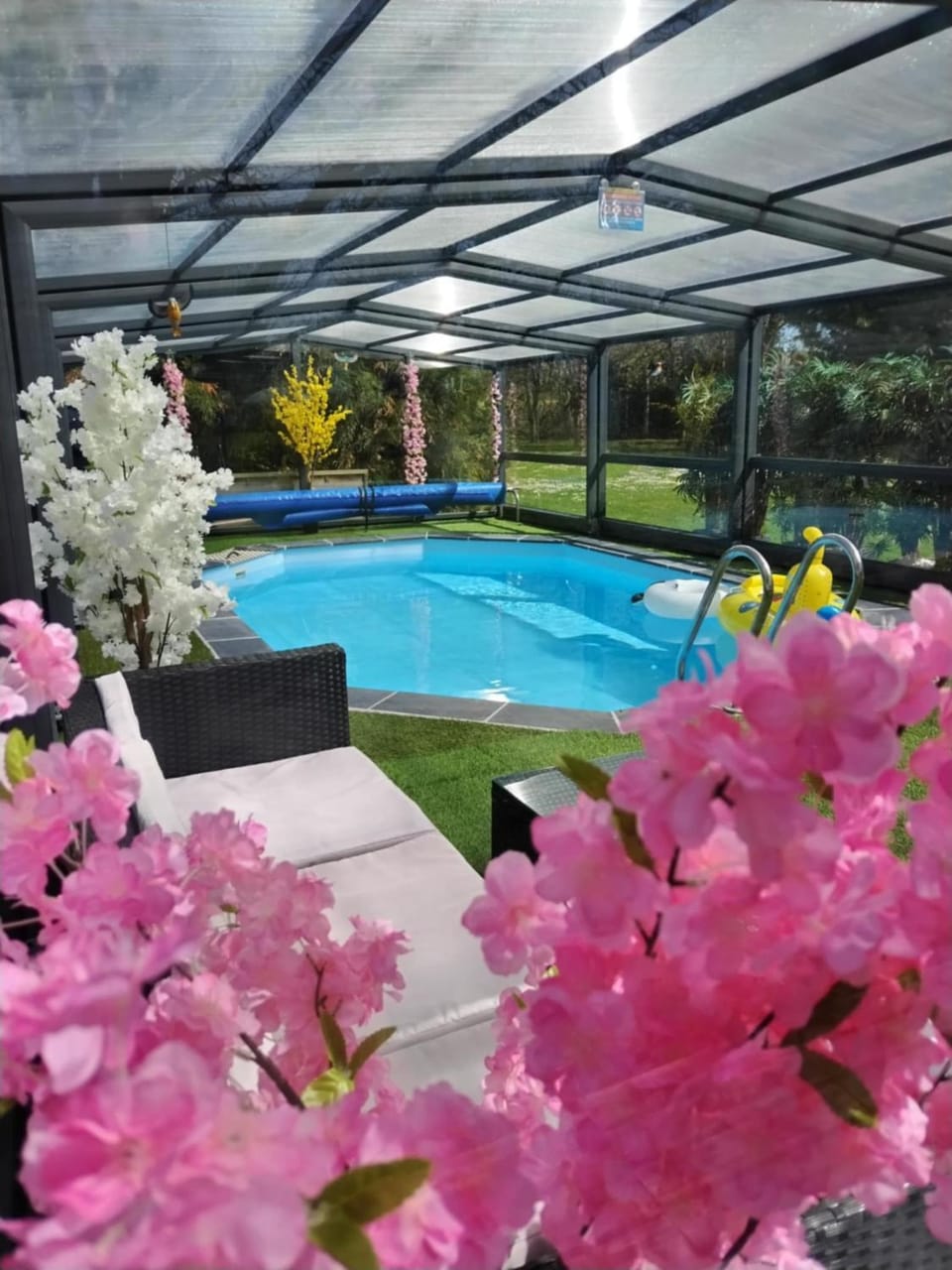 Swimming pool