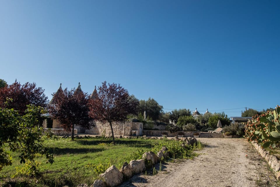 Natural landscape, Garden, Garden view