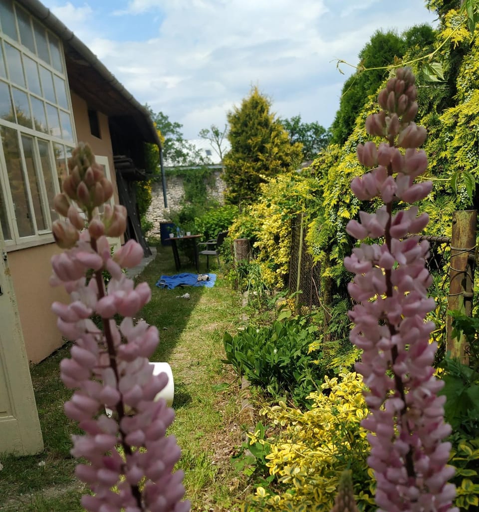 Garden, Garden view